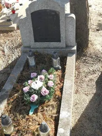 Zdjęcie grobu 1/176