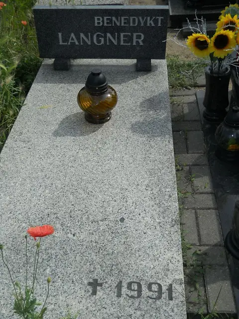 Zdjęcie grobu 26/22910
