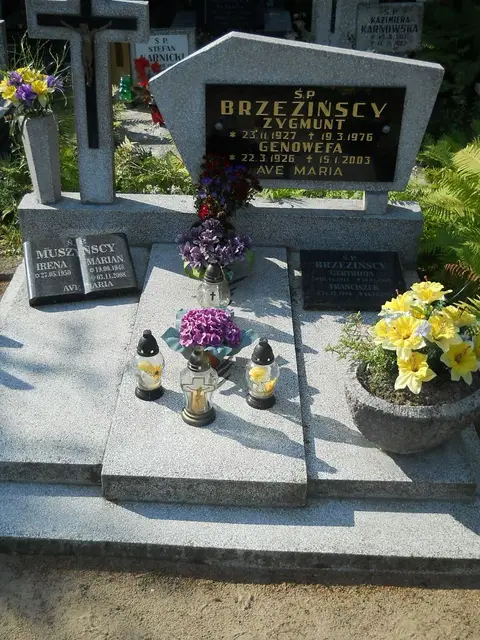 Zdjęcie grobu 17/28024