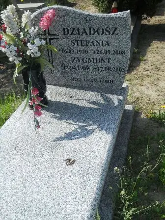 Zdjęcie grobu 20/100