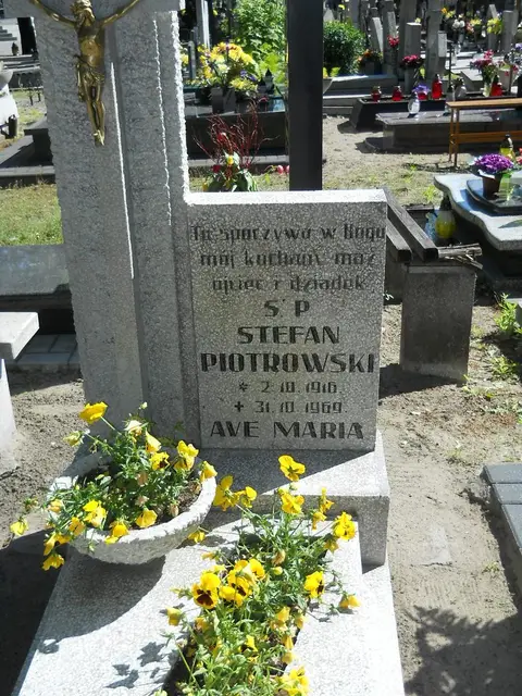 Zdjęcie grobu 8/10399