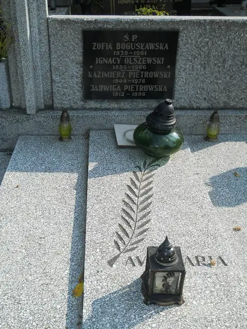 Zdjęcie grobu 15/26568