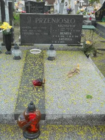 Zdjęcie grobu 7b/100
