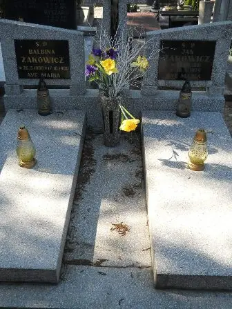 Zdjęcie grobu 35/162,163