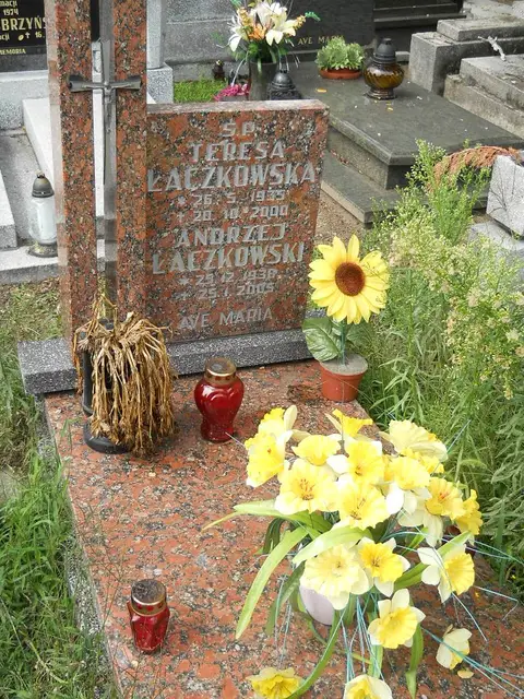 Zdjęcie grobu 5/22615