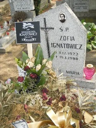 Zdjęcie grobu 33/100