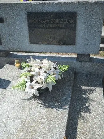 Zdjęcie grobu 35/176,176a