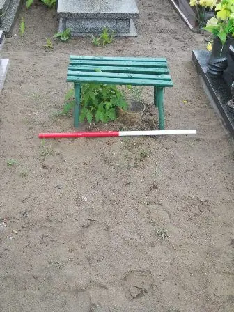 Zdjęcie grobu 36/100