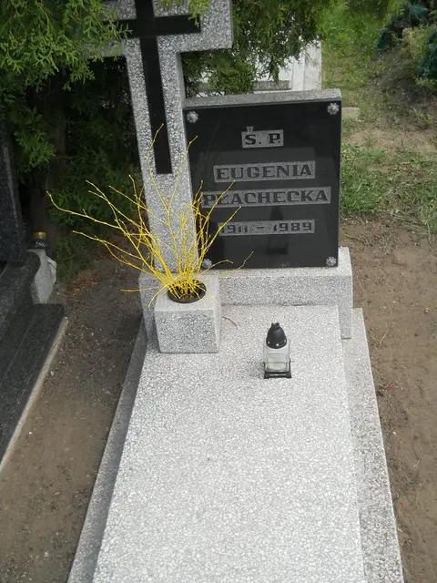 Zdjęcie grobu 7/11500