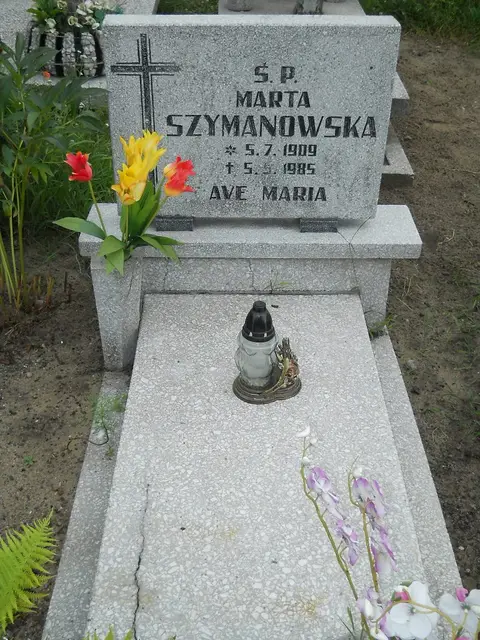 Zdjęcie grobu 26/23101