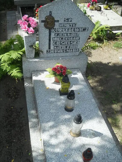 Zdjęcie grobu 6/24335