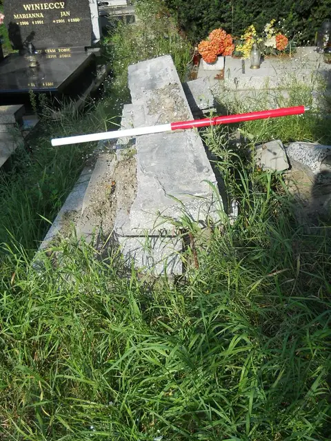 Zdjęcie grobu A/24878