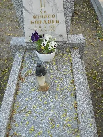 Zdjęcie grobu 7b/71