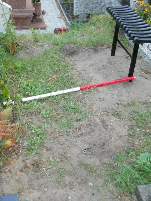Zdjęcie grobu 14/27882