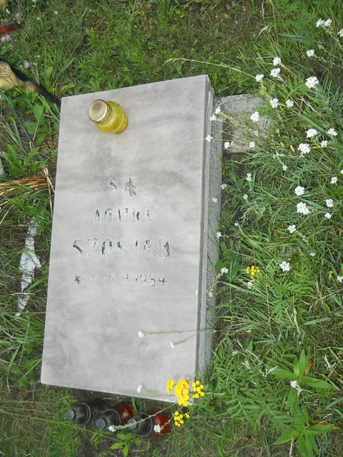 Zdjęcie grobu 21/23867