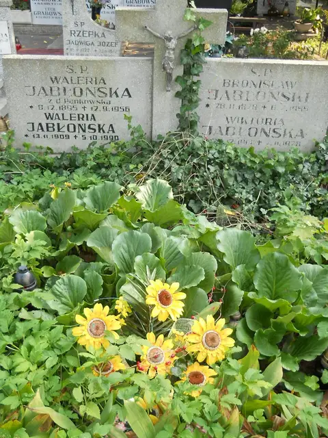 Zdjęcie grobu 15/26625