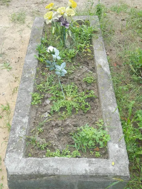Zdjęcie grobu 14/27019