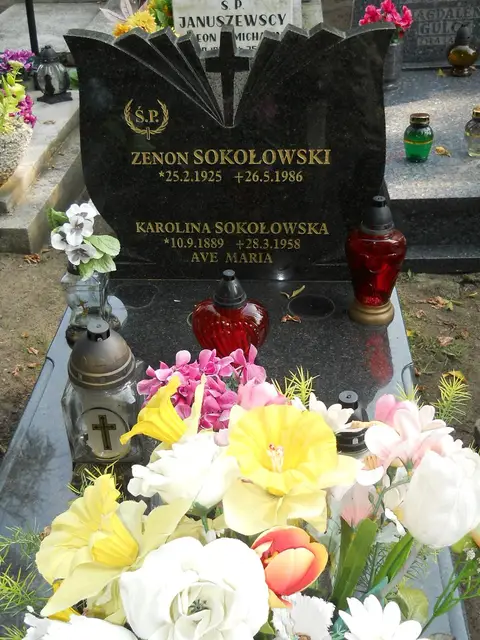 Zdjęcie grobu 15/26604