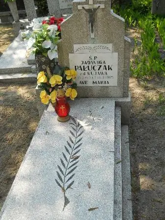 Zdjęcie grobu 30/100