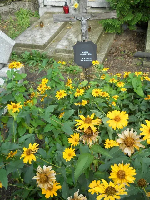 Zdjęcie grobu B/25508