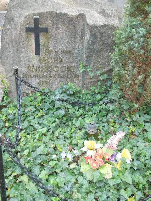 Zdjęcie grobu 14/26921