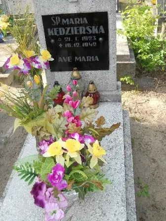 Zdjęcie grobu 24/88