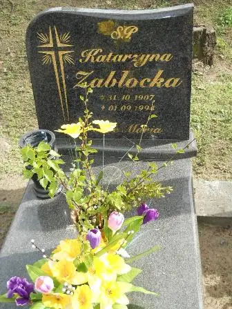 Zdjęcie grobu 9/100