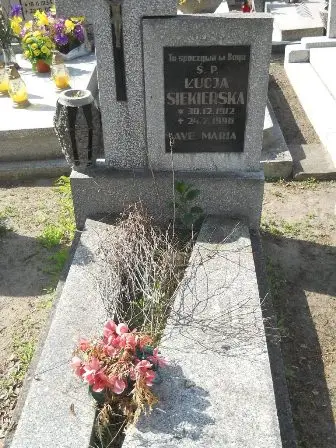 Zdjęcie grobu 24/100