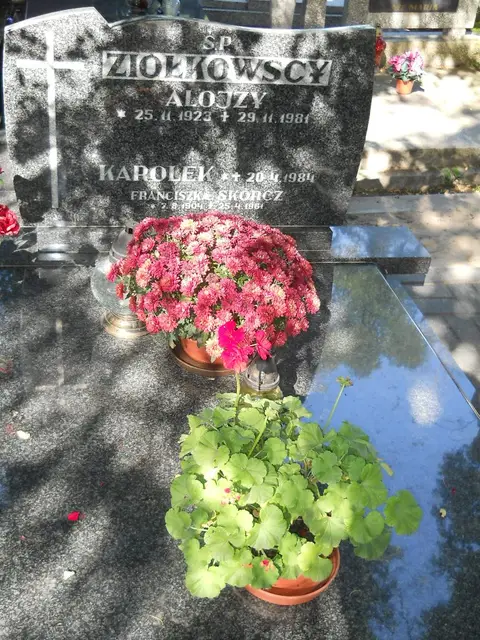 Zdjęcie grobu 5/24039