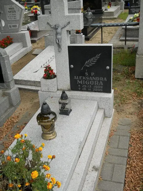 Zdjęcie grobu 12/29351