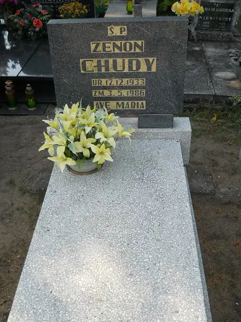 Zdjęcie grobu 17/28016