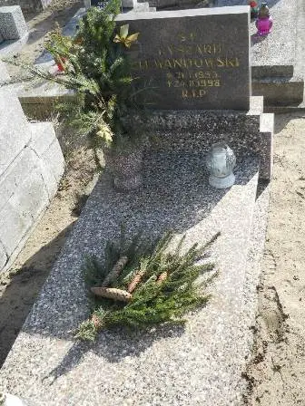 Zdjęcie grobu 1/163