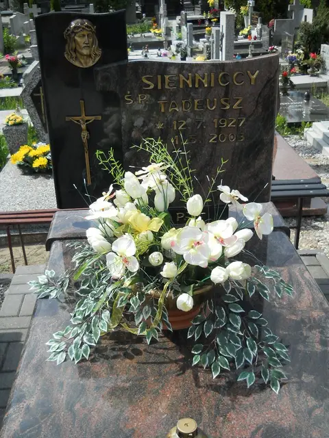 Zdjęcie grobu 7/11356
