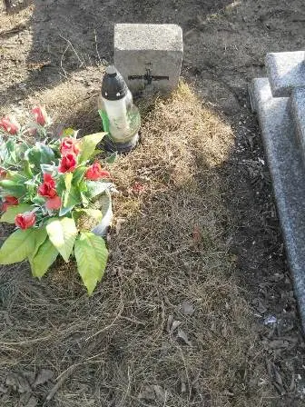 Zdjęcie grobu 100/100