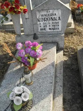 Zdjęcie grobu 4/566