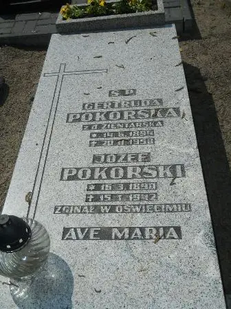 Zdjęcie grobu 30/100