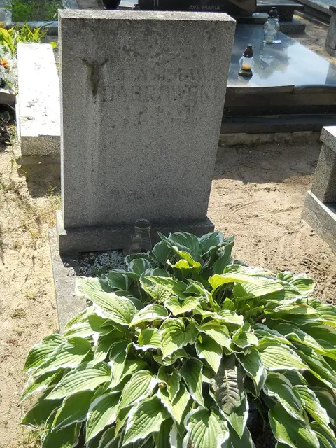 Zdjęcie grobu 14/27302