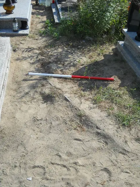 Zdjęcie grobu 14/27654
