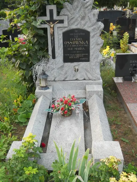 Zdjęcie grobu D/25888