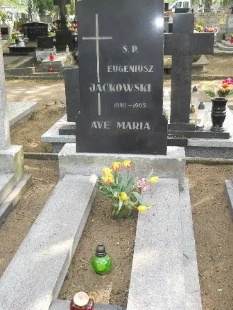 Zdjęcie grobu 33/6