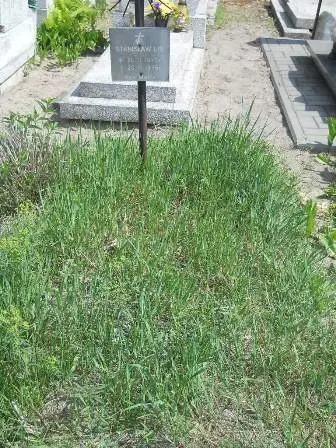 Zdjęcie grobu 25/473