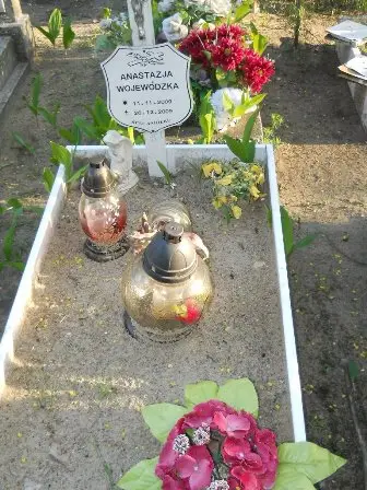 Zdjęcie grobu 7b/100