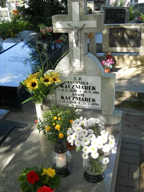 Zdjęcie grobu 5/24038