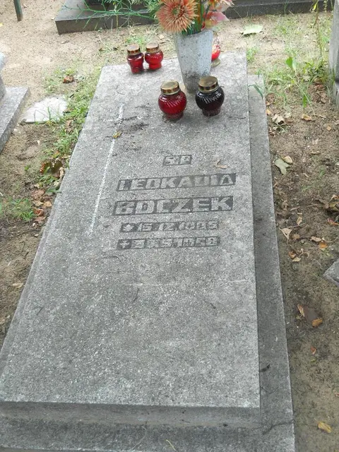 Zdjęcie grobu 12/29497