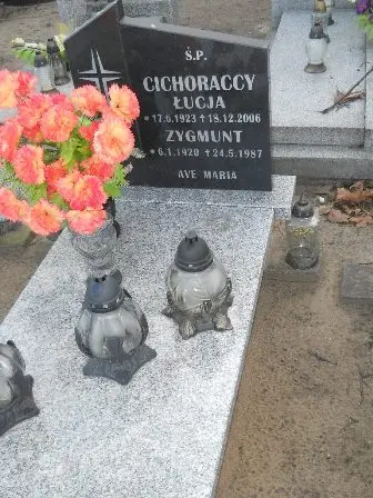 Zdjęcie grobu 8/115a