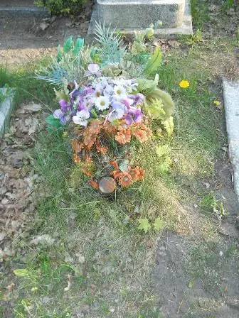 Zdjęcie grobu 7b/100