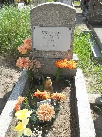 Zdjęcie grobu 25/319