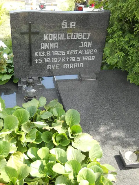 Zdjęcie grobu 7/8013/78