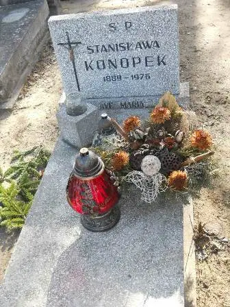 Zdjęcie grobu 8/24