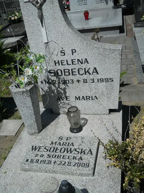 Zdjęcie grobu 8A/10222
